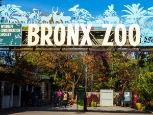 Bronx Zoo