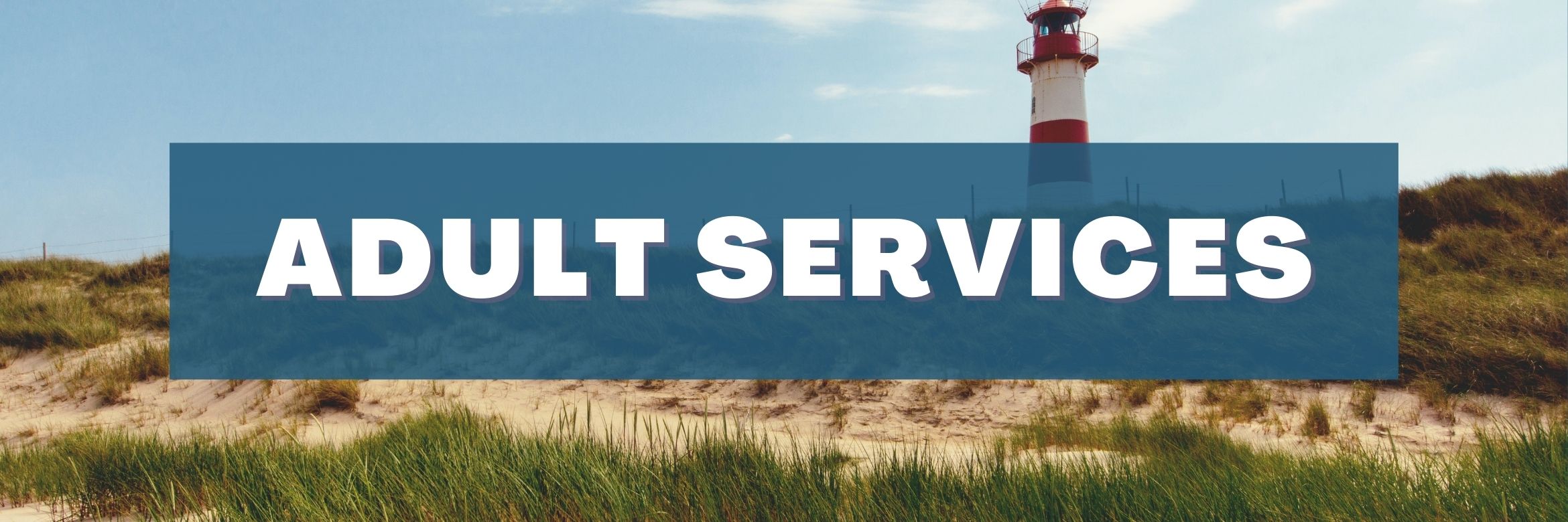 Adult Services header