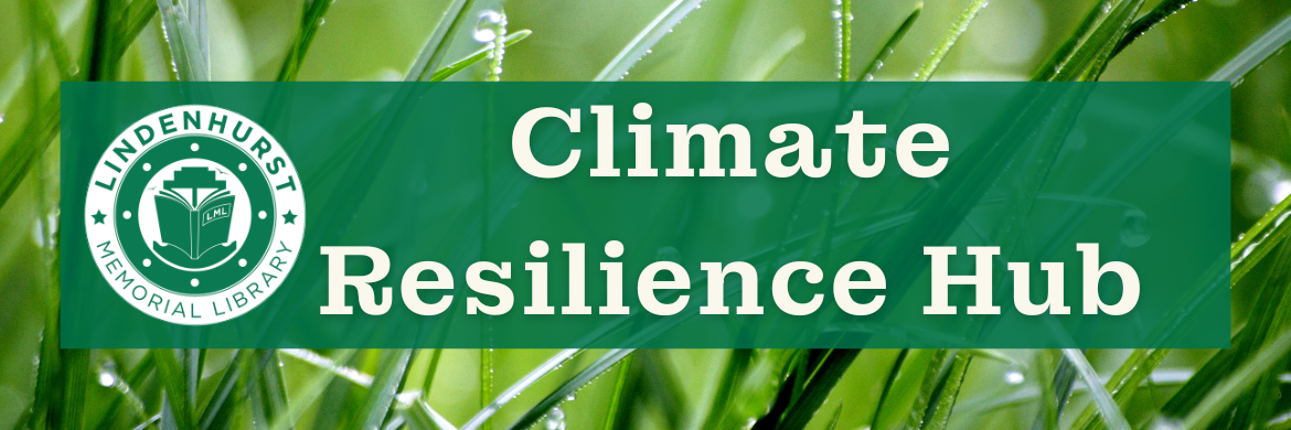 Climate Resilience Hub Header
