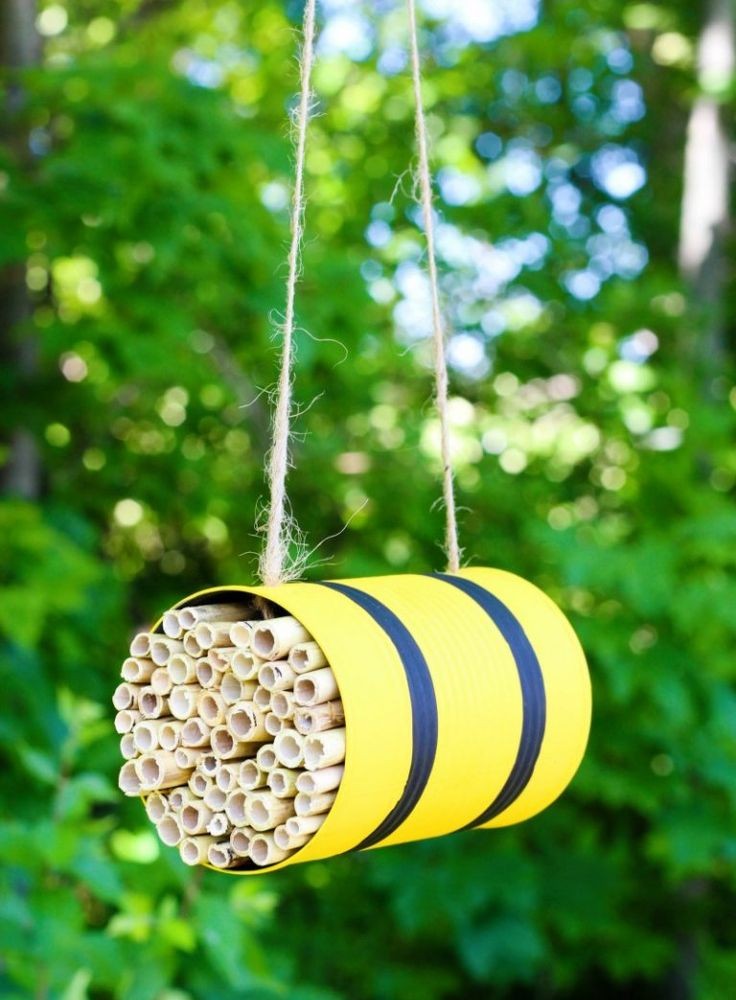 bee motel