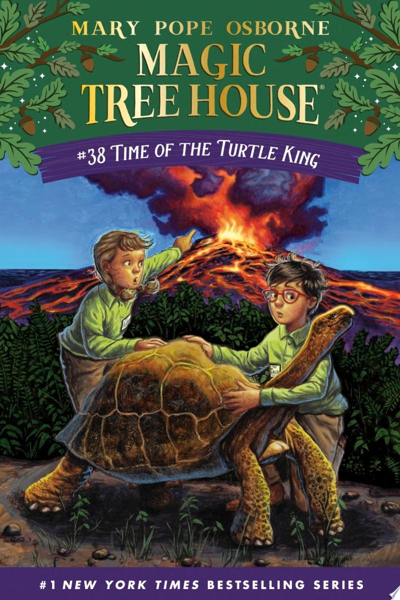 Image for "Time of the Turtle King"