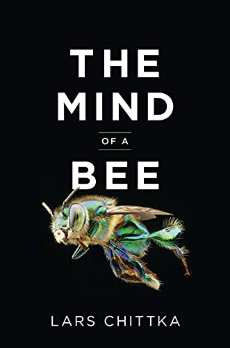 Mind of a Bee