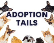 Adoption Tails Linked Image Block
