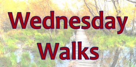 picture of walks