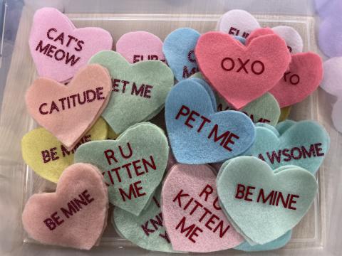Catnip hearts