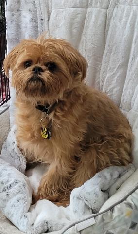 tucker