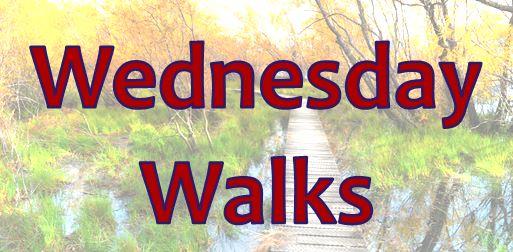 picture of walks