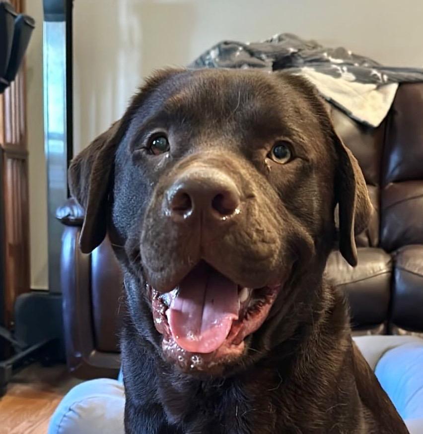 Gus