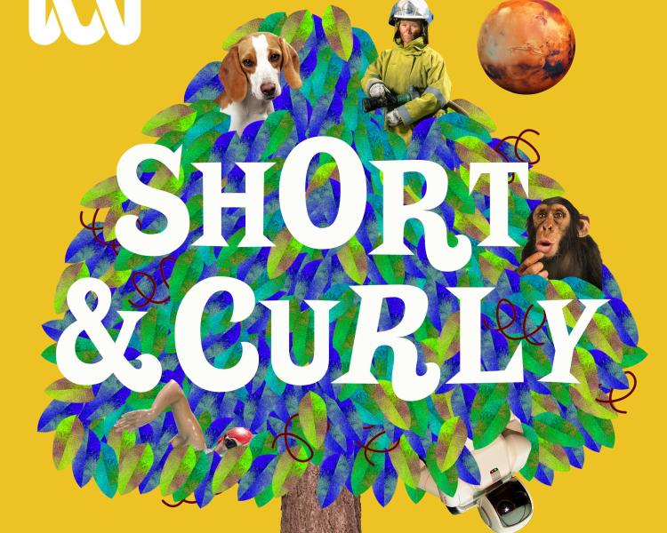 Short & Curly Podcast