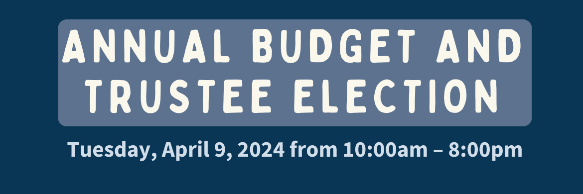 Budget and Trustee Election